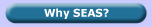 An overview of why inventors should work with SEAS